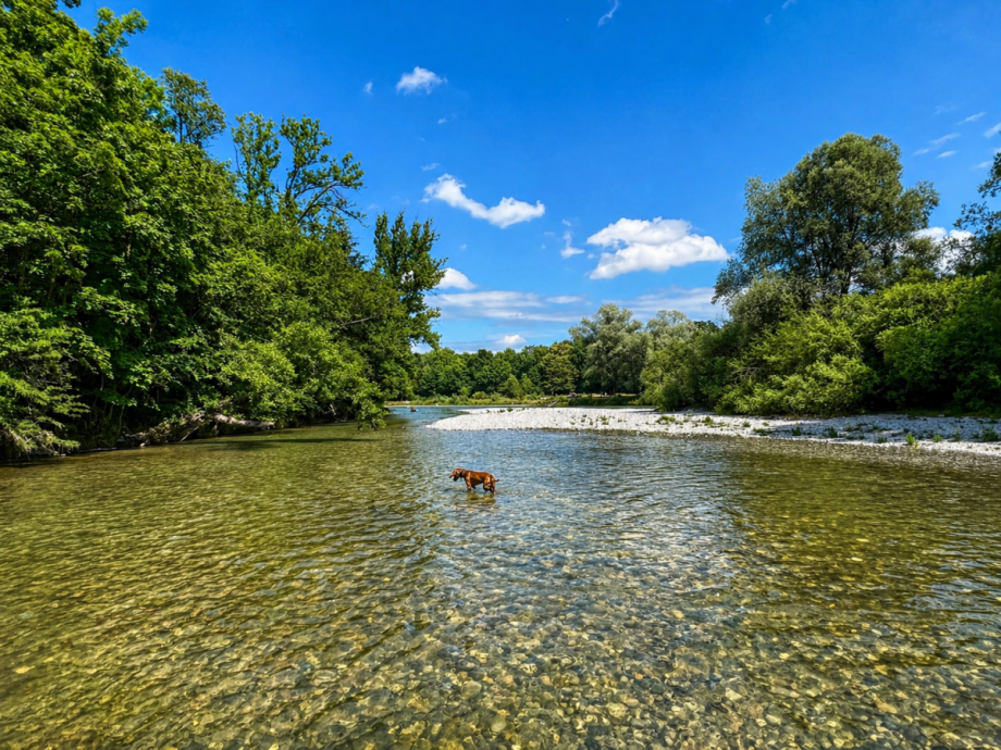 unmittelbare N�he zur Isar Wohnung M�nchen