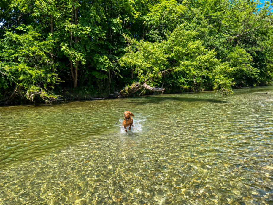 unmittelbare N�he zur Isar Wohnung M�nchen